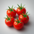 Cherry Tomatoes