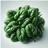 Spinach